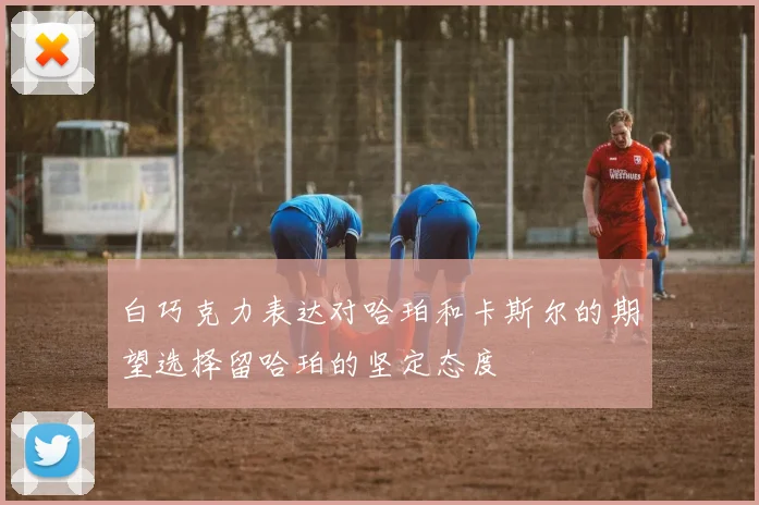 白巧克力表达对哈珀和卡斯尔的期望选择留哈珀的坚定态度