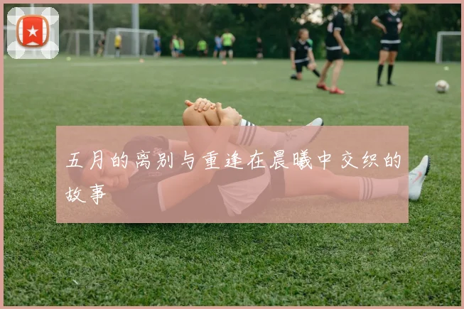 五月的离别与重逢在晨曦中交织的故事